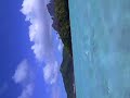 Shark feeding - Yukulele Shark feeding - Yukulele