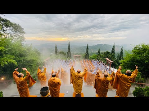 Thiền Quán NIKAYA - Con Đã Về Núi Linh Thứu *