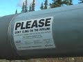 On the Road Trans-Alaska Pipe Line,Alaska. Sep. 2007