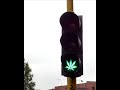 DRUM AND BASS FOR ALL THE WEED...