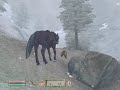 Lets Play Oblivion Part 102 - A Stallion Baby!