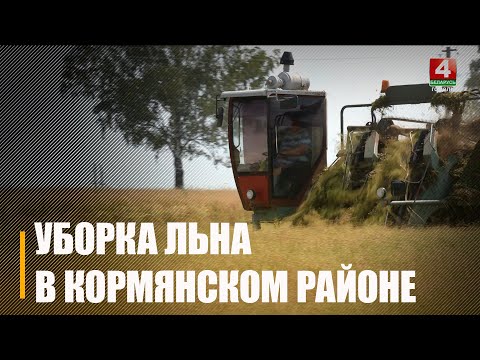 На Гомельщине обработано 465 гектаров льна видео