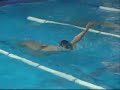 Campeonato Metropolitano de Natacion Master 2008