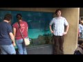 Matt Tries to Make Friends at the Aquarium Matt Tries to Make Friends at the Aquarium