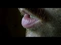 The second preview trailer from Valgeir Sigurdsson's forthcoming album 'Ekvílibríum'. This one features vocals by J. Walker and Bonnie 'Prince' Billy.