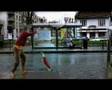 Dog Vs Bus Stop
