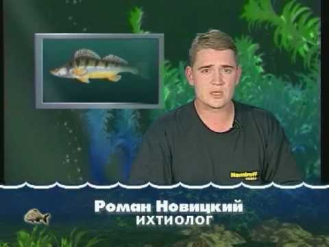 YouTube Трейлер