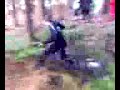 More Bog Divers