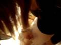 videos de frota frota