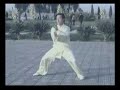 Taiji - Chen Style