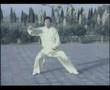 Taiji - Chen Style