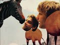 Jaga Jazzist - Animal Chin Jaga Jazzist - Animal Chin