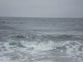 Carmel - Sunshower (Chris Cornell) Carmel - Sunshower (Chris Cornell)