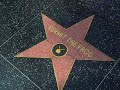 Still in Hollywood by Concrete Blonde Still in Hollywood by Concrete Blonde