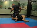 Jiu Jitsu 101 Jiu Jitsu 101