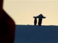 freeskiing/snowboard