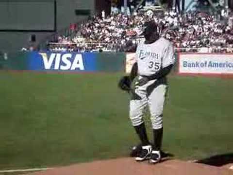 dontrelle willis