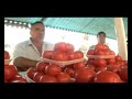 a feira livre