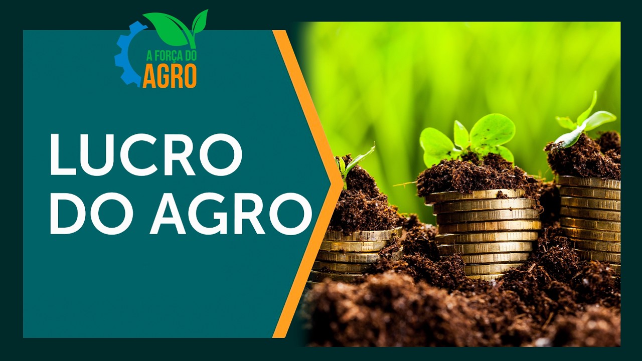 O segredo da macadâmia: tecnologia própria eleva lucro no campo  |  AFA, com Joice Maffezzolli