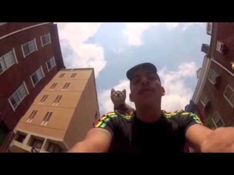 riding - A Philadelphia bike courier shows how he and his cat, MJ, see eye to eye when it comes to delivering packages in the city. (May 23)
