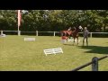 Brennabor Lord Zandor (D) & HS Sam (D) - IG Welsh Bundesschau 2009