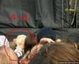o melhor amigo do bill e do tom