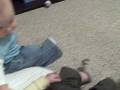 videos de Lyle, Nathaniel and Tate play together. sorta.