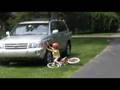 Kid, Bike & Pitbull