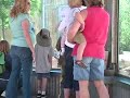new-giraffe-at-denver-zoo.html