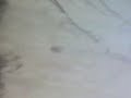 VERY LOUD LIGHTNING EXPLOSION