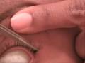 Individual Lashes: Tutorial