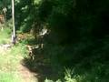 hillclimbing