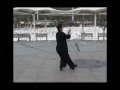 taiqi form from xiao long wushu institut