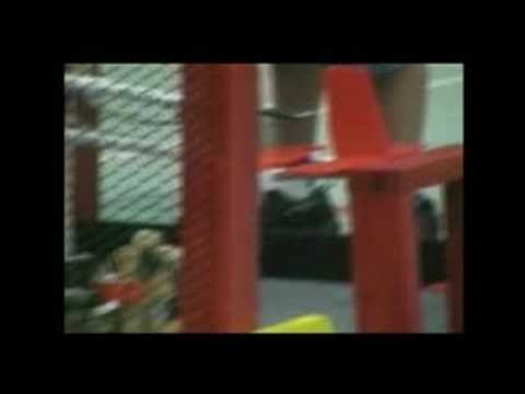 just plane crazy - A brief description of the 2008 game for Best robotics.