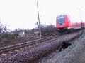 Gl�ck gehabt!