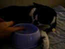 Riley testing the water