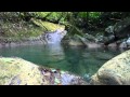 Crystal clear pool in a Jamaican mountain stream