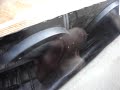 fukinha tocando mto - spl fukinha tocando mto - spl
