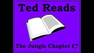 The Jungle Upton Sinclair Chapter 17