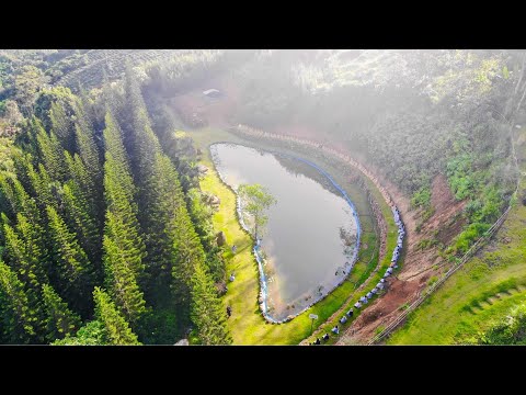 Tinh Hoa NIKAYA - Thấy Đúng Theo Pháp