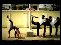Stretch Festival?????  Yoga Cannes Festival Lion