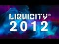 Liquicity Yearmix 2012