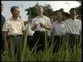 China´s financial system sound and safe