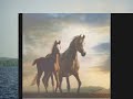 Zed Koby & Moverman: Star Of The Prairie (A préri csillaga)
