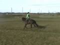 guinness.wmv