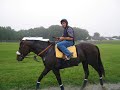 Happy B-Day Barbaro- Part 1