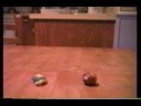 Claymations 1996
