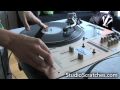Scratching Badgers Part 2 - Walk On The Wildside