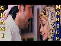 New Hindko Mahiya by Sajjad Ali.flv