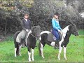 Manege `t hoefke